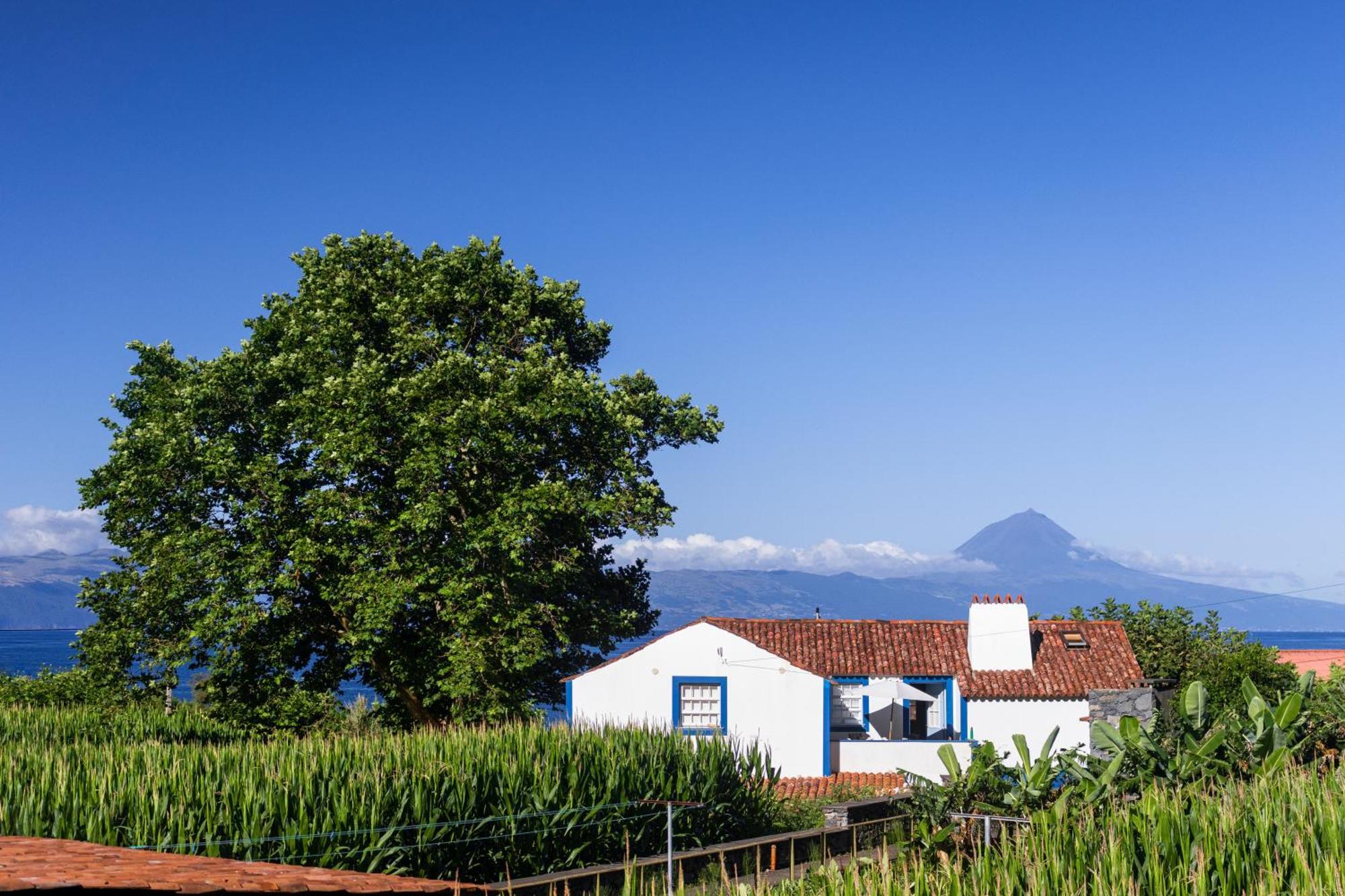 Casas Dos Vimes Villa Faja dos Vimes Bagian luar foto