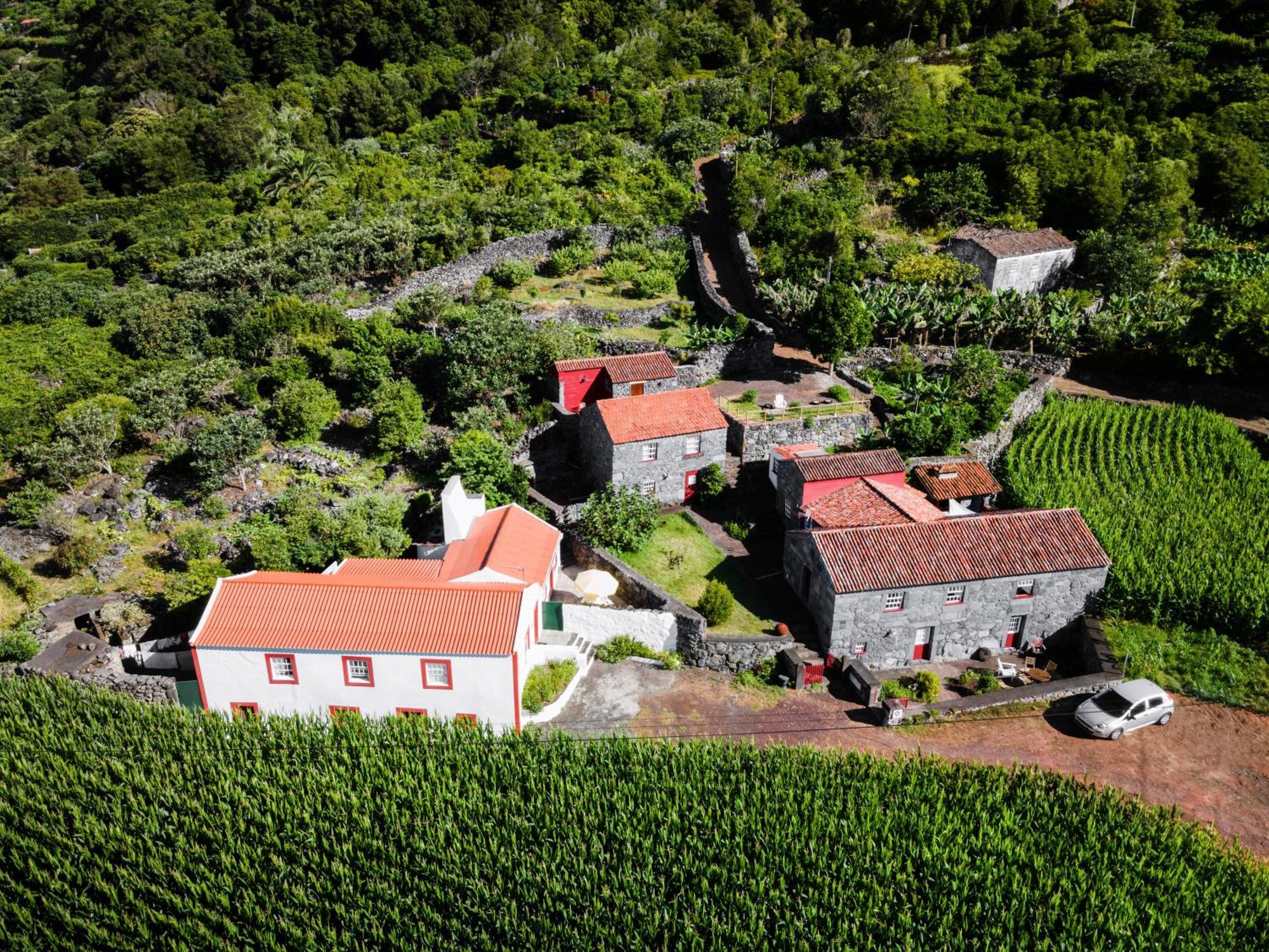 Casas Dos Vimes Villa Faja dos Vimes Bagian luar foto